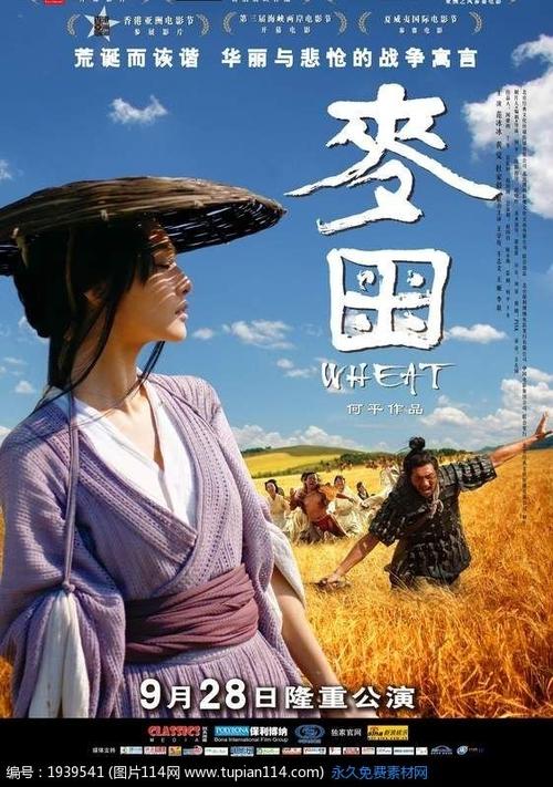 做个假初中文凭